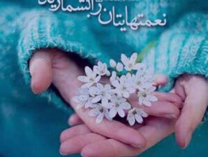 منشأ شکر نعمت