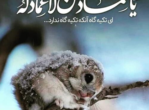 اتکا به خداوند و یاد خدا