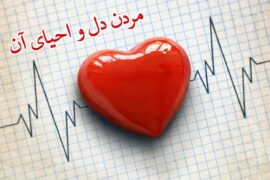 نقش ایمان در حیات و ممات دل