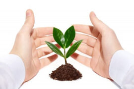 اخلاص در عمل برای خدا