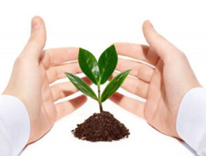 اخلاص در عمل برای خدا