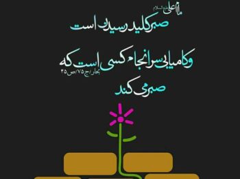 صبر و بردباری امام سجاد