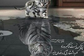 ریشه تکبر در احساس ذلت