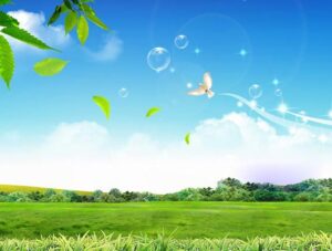 آیا ما بیهوده خلق شده ایم؟
