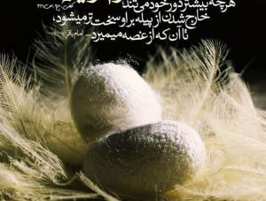 جلسه اخلاق رابطه دنیا و انسان