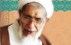 آیت الله محمد حسین بهجتی اردکانی