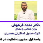 تعدیل کمالگرایی همسران / محمد فرهوش