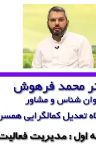 تعدیل کمالگرایی همسران / محمد فرهوش