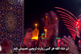 هر وقت زیارت رفتی، فقط تماشا کند