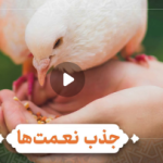 قدر نعمت را بدانیم تا بیشتر شود
