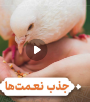 قدر نعمت را بدانیم تا بیشتر شود