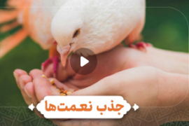 قدر نعمت را بدانیم تا بیشتر شود