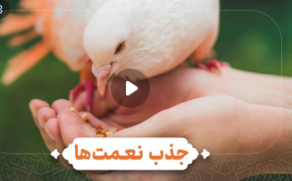 قدر نعمت را بدانیم تا بیشتر شود