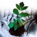 بهترین اعمال برای آخرت
