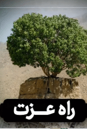 روایت امام عسکری(ع) درباره راه عزت